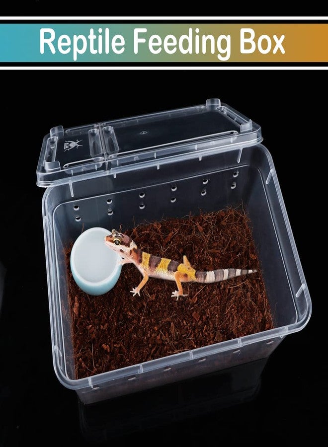 DQITJ 5 Pcs Spider Small Terrariums Breeding Box Transparent Hatching Container Plastic Feeding Box for Small Reptile Spider Scorpion Centipede Insect - Image 3